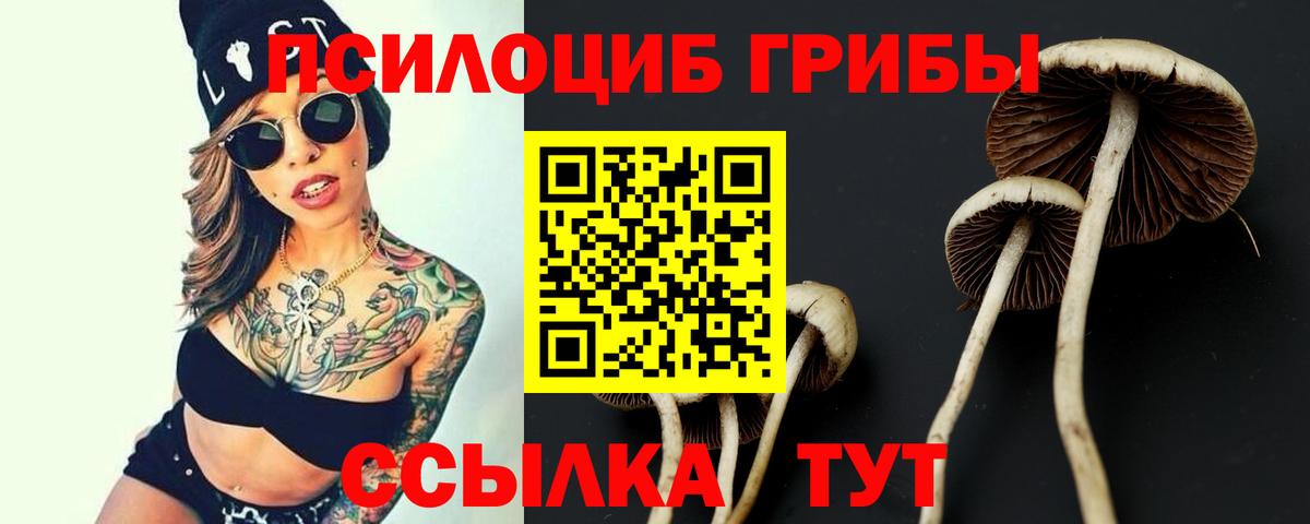 Красноуфимск  Псилоцибиновые грибы Magic Shrooms  Псилоцибиновые грибы Psilocybine cubensis  Вход с VPN 